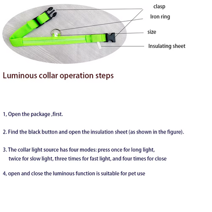 Bright Night Dog Leash with Reflective Safety Strip