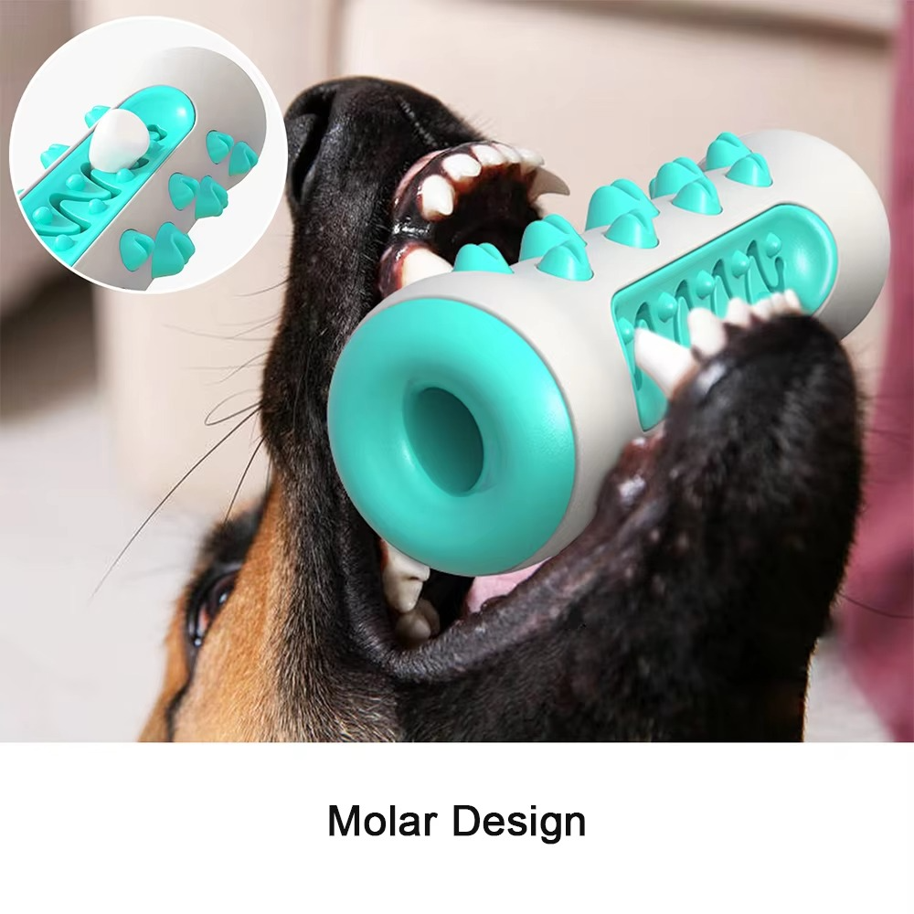Big Dog Dental Chew Toy with Treat Dispenser