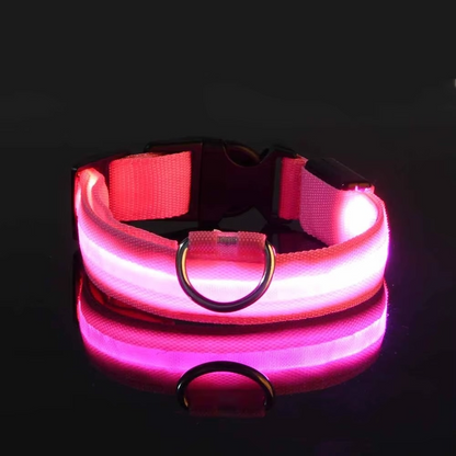 Bright Night Dog Leash with Reflective Safety Strip
