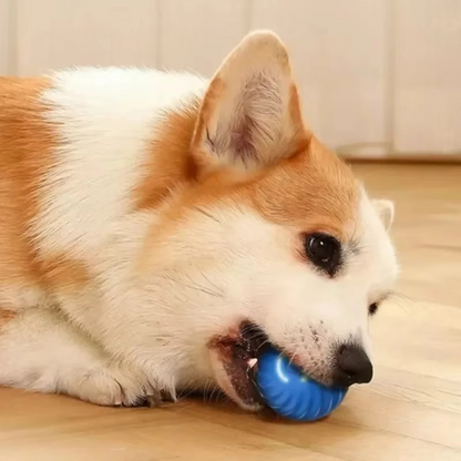 Fun Pet Electronic Ball Toy for Dogs and Cats
