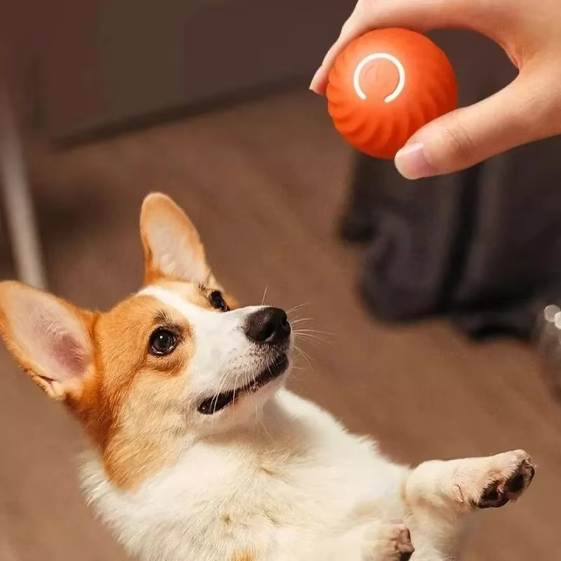 Fun Pet Electronic Ball Toy for Dogs and Cats