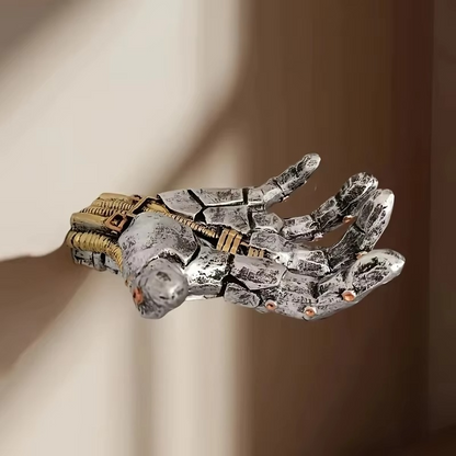 Futuristic Robot Arm Shelf and Sports Equipment Holder