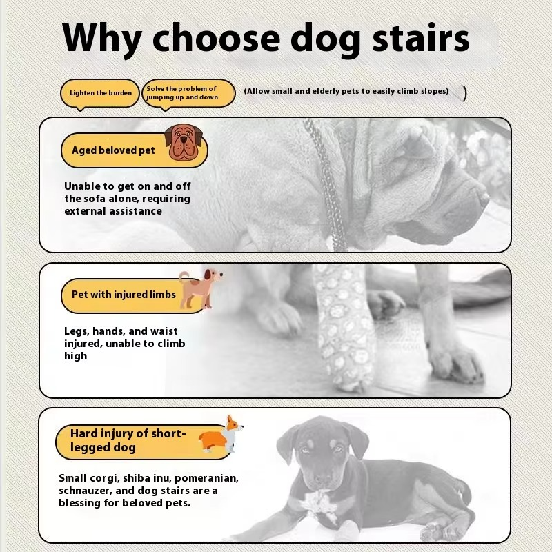 Portable Pet Steps for Small Dogs and Seniors