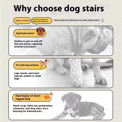 Portable Pet Steps for Small Dogs and Seniors