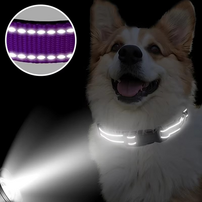 Comfy Adjustable Dog Collar - Soft and Breathable