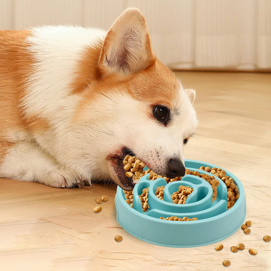 Durable Pet Slow Feed Bowl - Safe for All Pets - Hehif