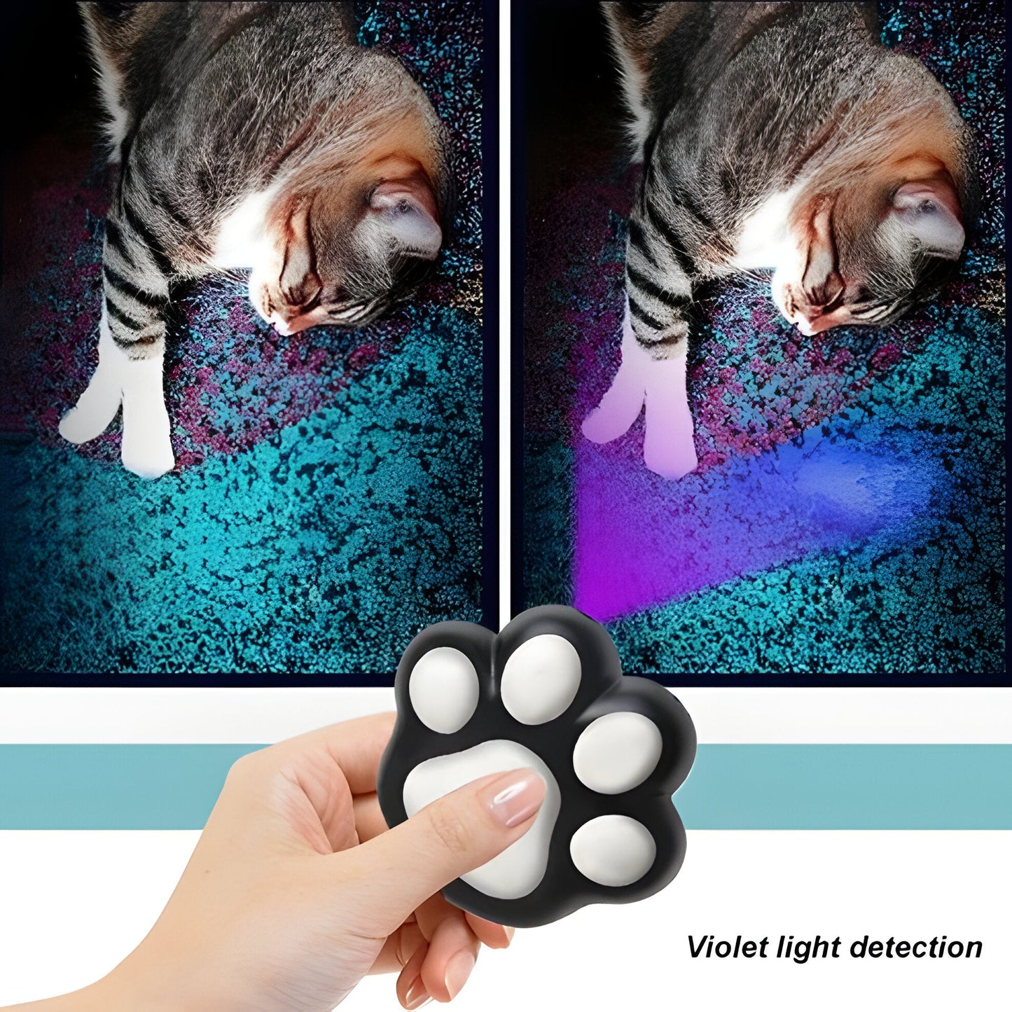 Fun Pet Laser Pointer with 5 Speed Settings