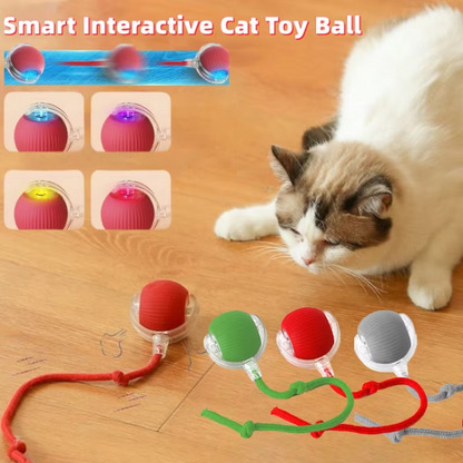 Fun Electronic Cat Toy with Feather Teaser and Auto Mouse