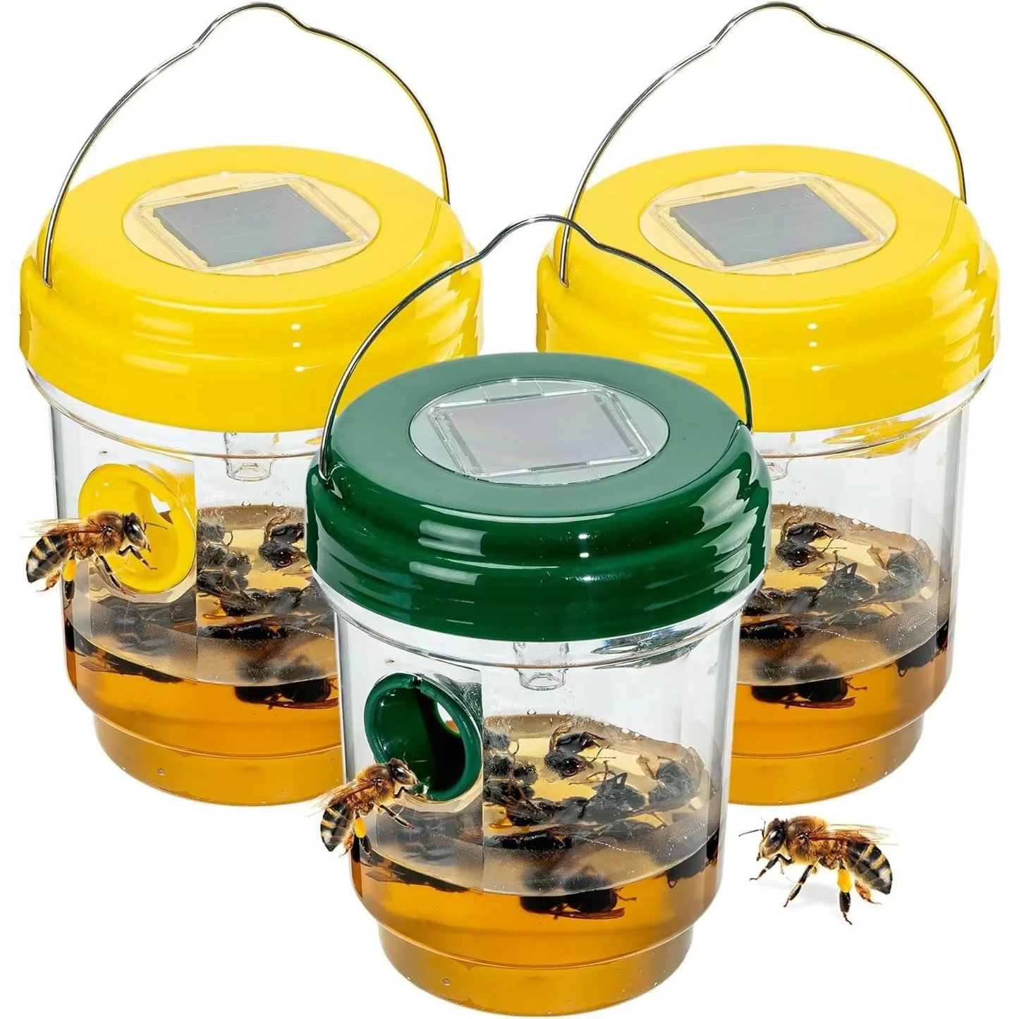 Outdoor UV Insect Trap for Wasps and Yellow Jackets