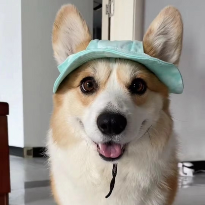 Cooling Pet Sun Cap