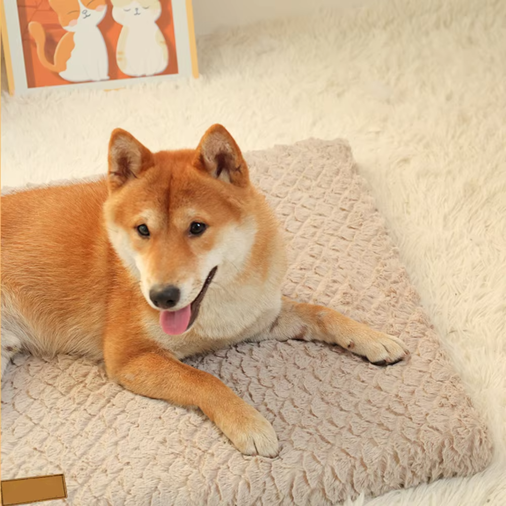 Comfortable Pet Bed with Plush Removable Cover