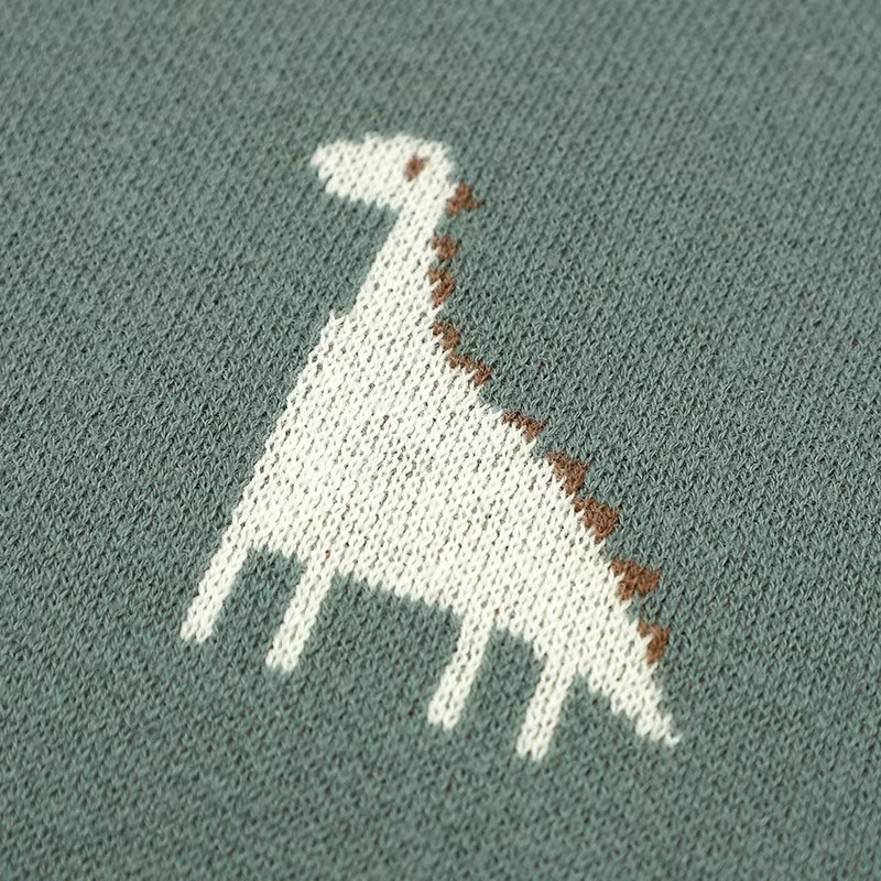 Cozy Baby Blanket with Dinosaur Print