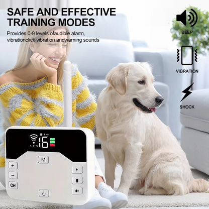 Portable Dog Training Collar Set Waterproof Rechargeable