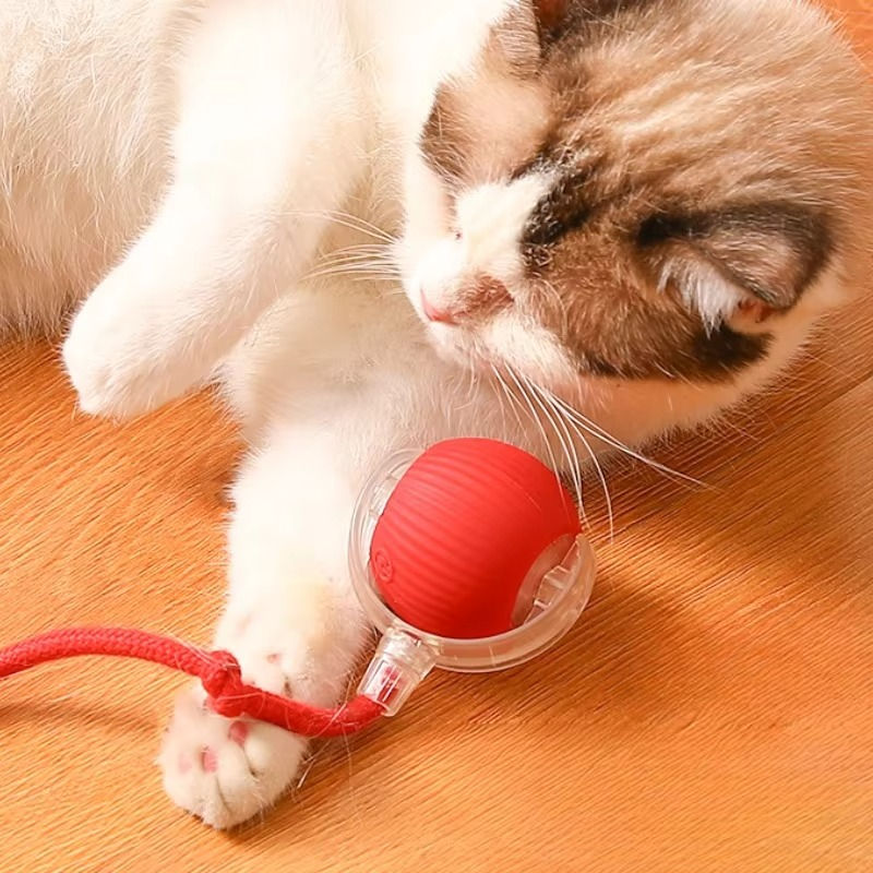 Fun Electronic Cat Toy with Feather Teaser and Auto Mouse