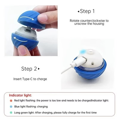 Fun Pet Electronic Ball Toy for Dogs and Cats