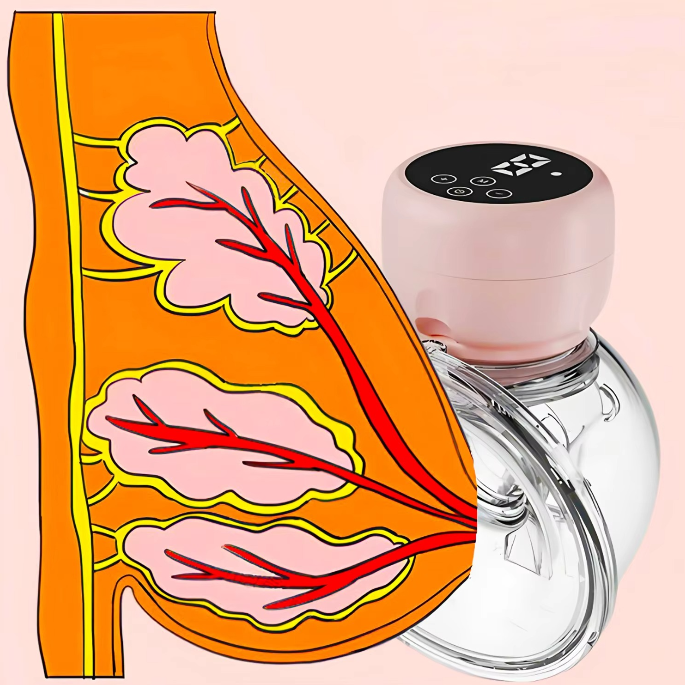 Portable Rechargeable Breast Pump with 3 Settings