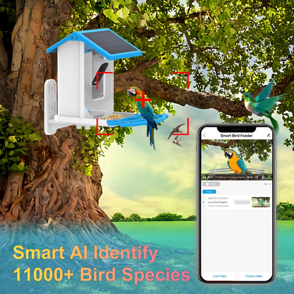 Wireless Bird Feeder with Wi-Fi Camera and Motion Sensor