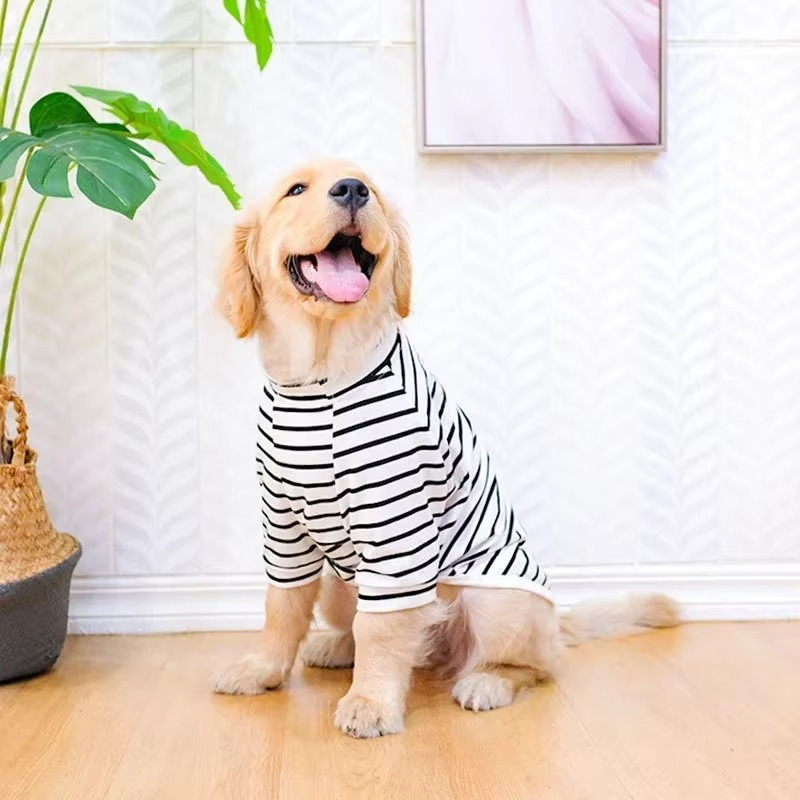 Comfortable Dog Summer Tee for Big Breeds