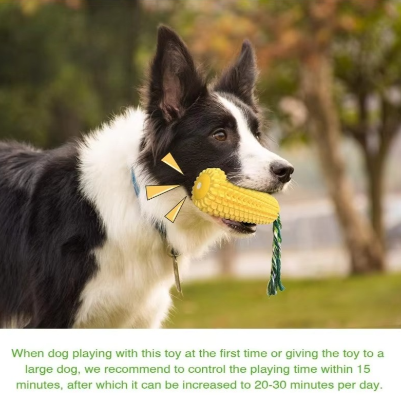 Durable Squeaky Corn Dog Toy for Active Pets
