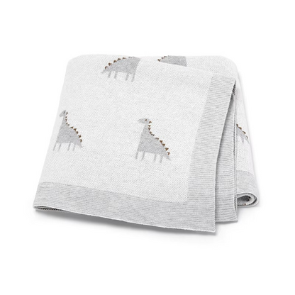 Cozy Baby Blanket with Dinosaur Print