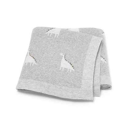 Cozy Baby Blanket with Dinosaur Print