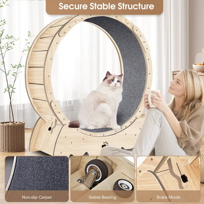 Fun Pet Running Wheel with Soft Surface
