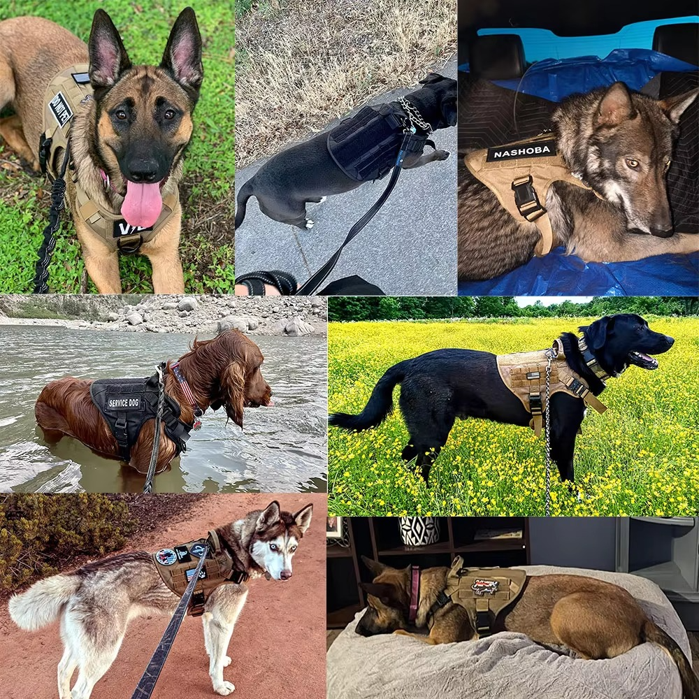 Durable Dog Vest Harness and Lead Set for Big Dogs