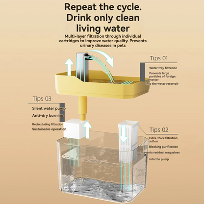 Easy Clean Pet Water Fountain with Filter and Pump