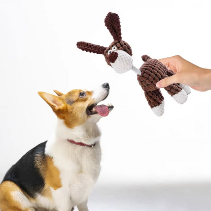Fun Squeaky Dog Chew Toy - Tough & Long Lasting