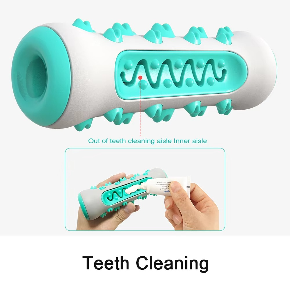 Big Dog Dental Chew Toy with Treat Dispenser