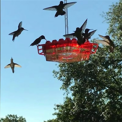Large Capacity Bird Feeder with 30 Ports Easy Fill Design