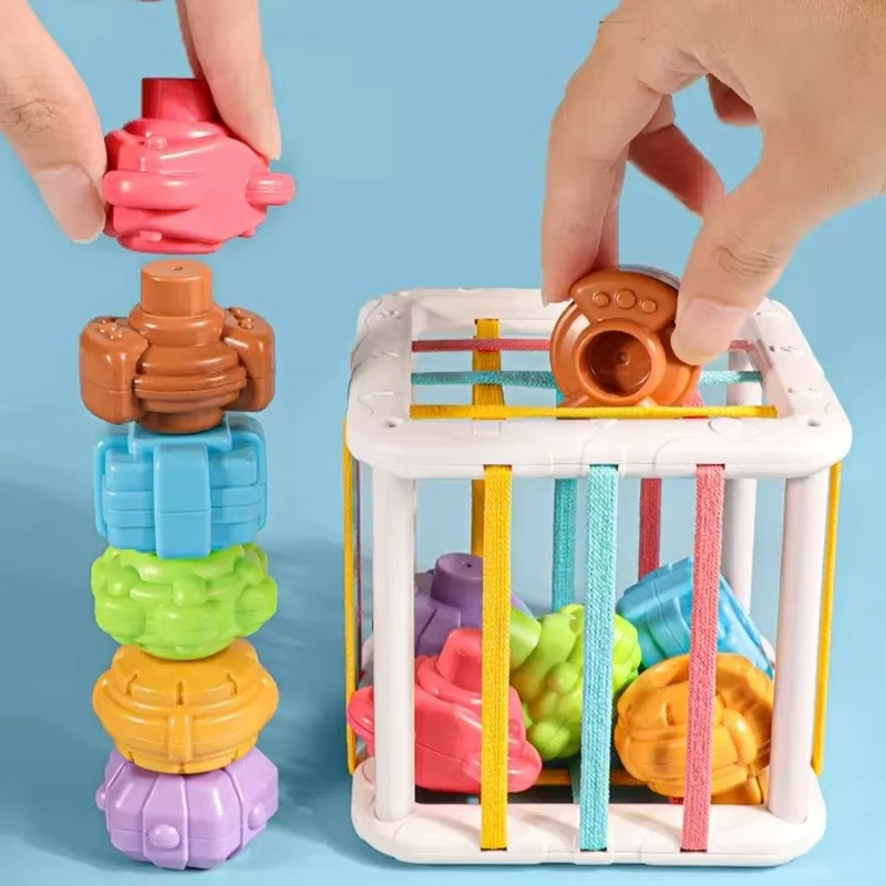 Educational Wooden Shape Sorter Toy Block - Hehif