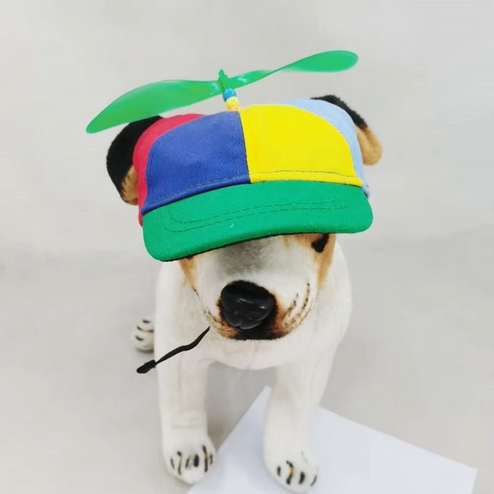 Vibrant Water Resistant Dog Hat for Outdoor Fun