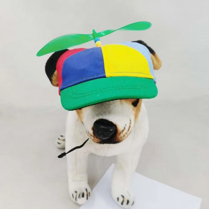Vibrant Water Resistant Dog Hat for Outdoor Fun