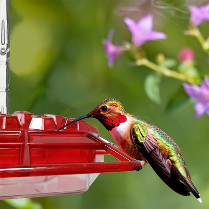 Large Capacity Bird Feeder with 30 Ports Easy Fill Design