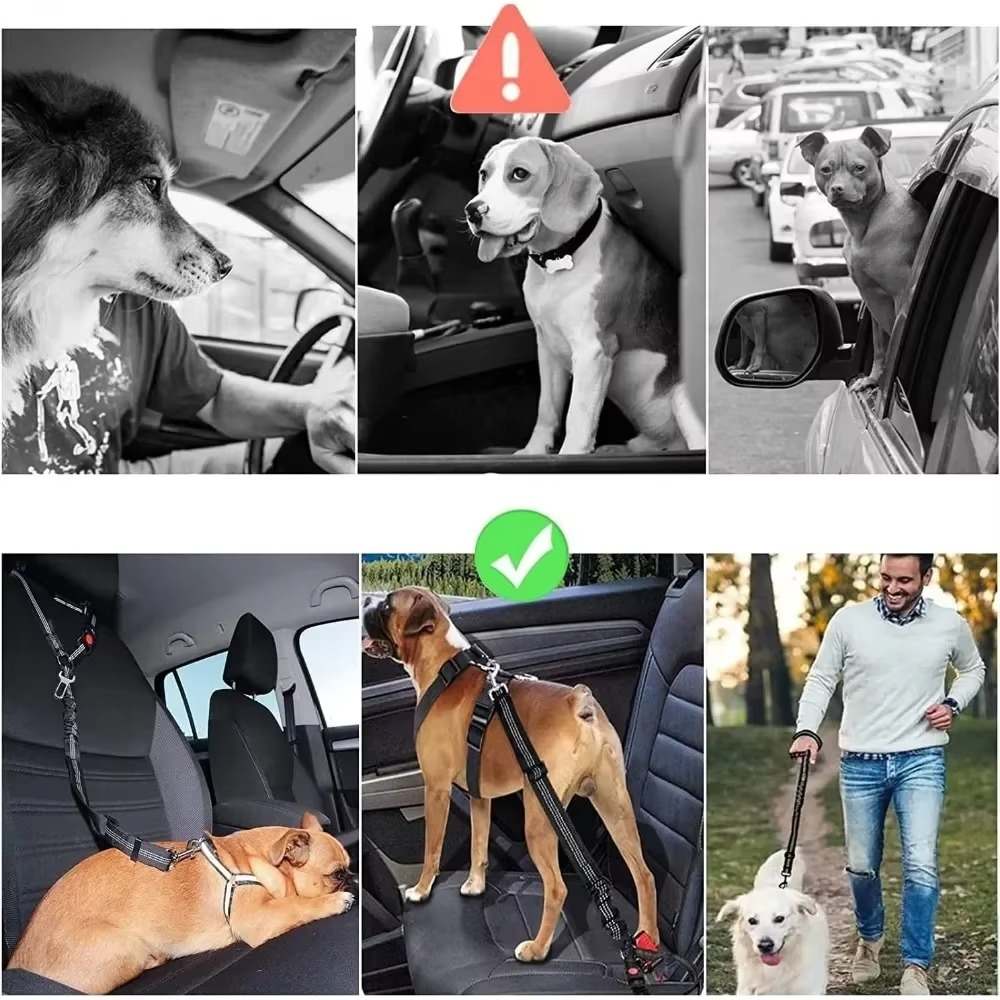 Safe Pet Car Harness Seatbelt with Adjustable Strap