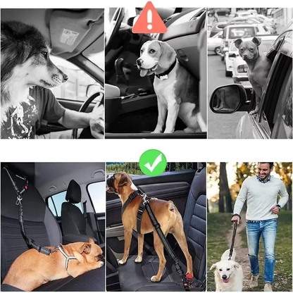 Safe Pet Car Harness Seatbelt with Adjustable Strap
