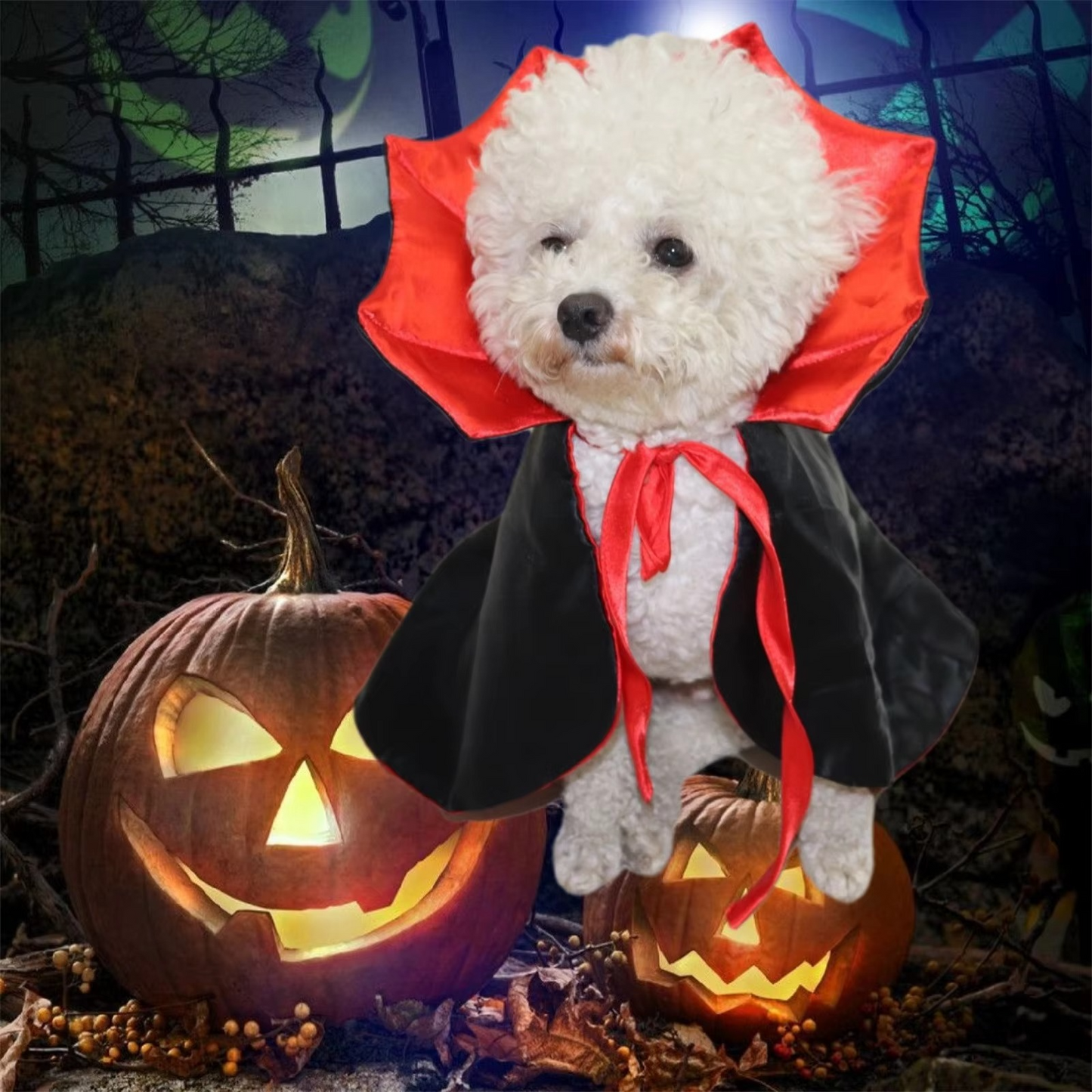 Pet Friendly Halloween Cloak Costume for Cats Dogs