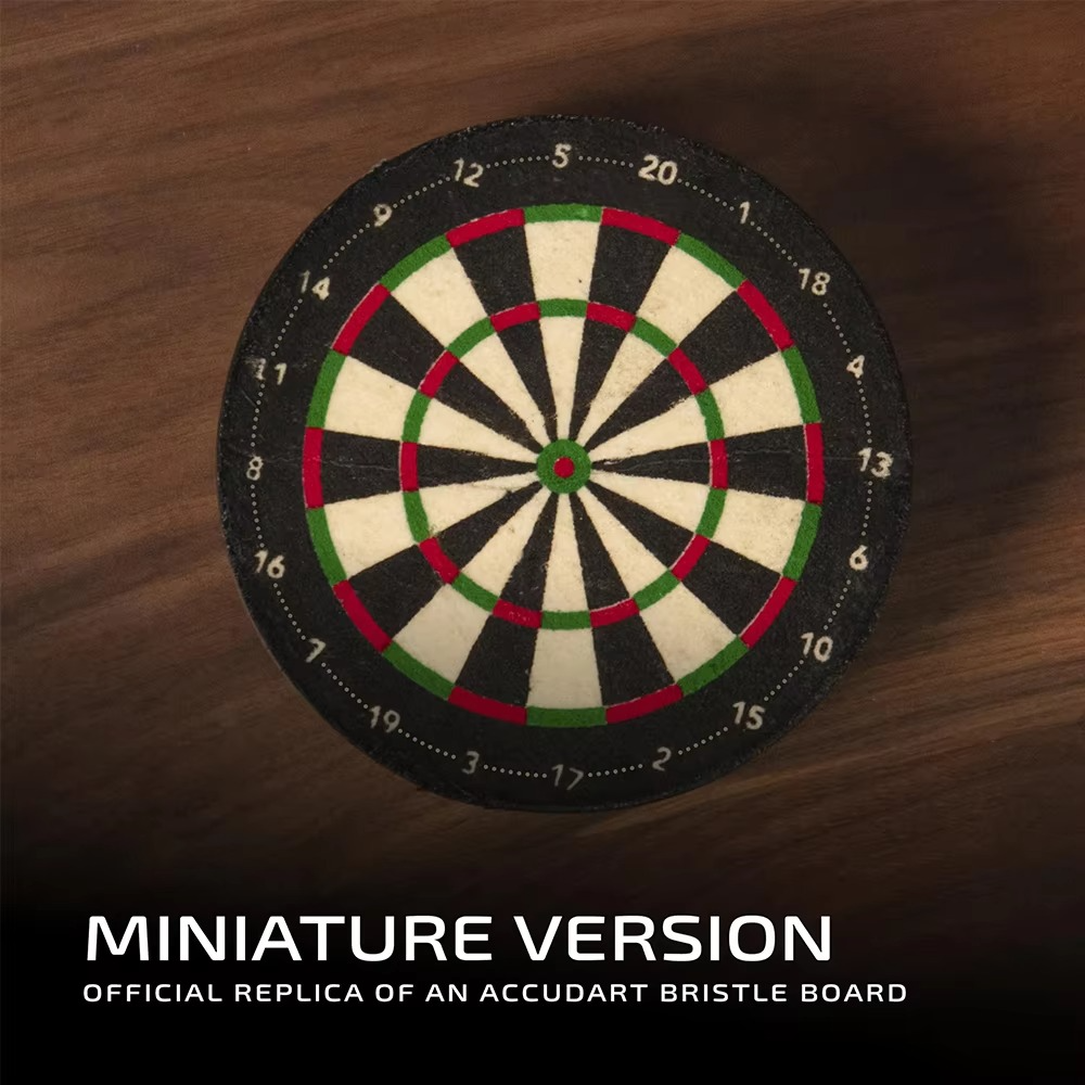 Compact Dart Storage Case with Target Design