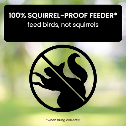 Wildlife Resistant Bird Feeder