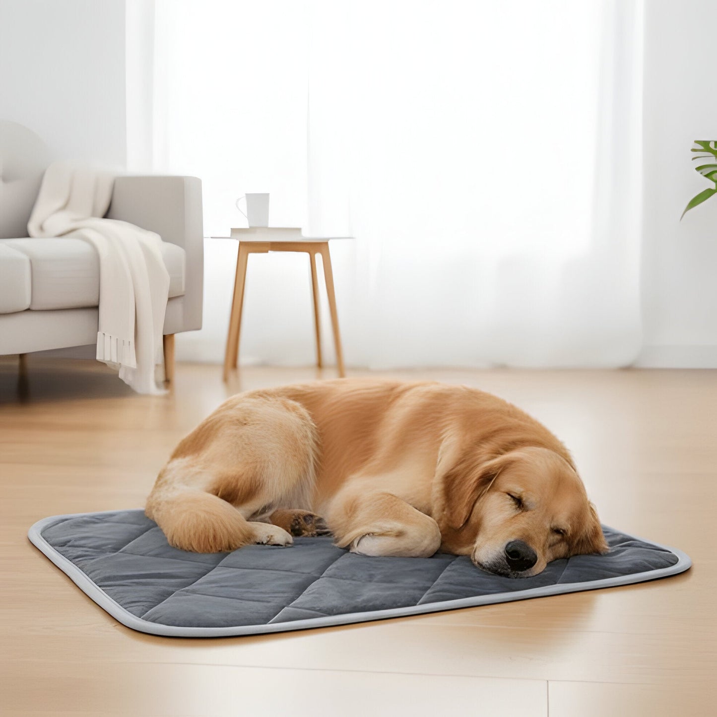 Heated Pet Bed for Warmth and Orthopedic Support