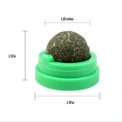 Fun Cat Interactive Wall Toy