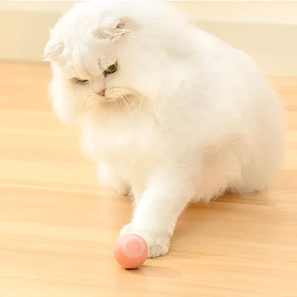 Interactive Dual Action Cat Hunting Toy