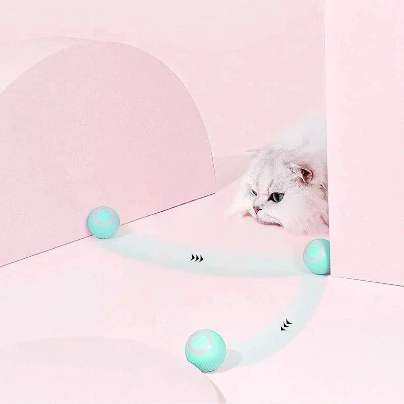 Interactive Dual Action Cat Hunting Toy