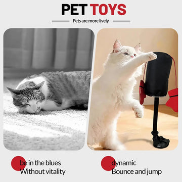 Fun Pet Play Toys