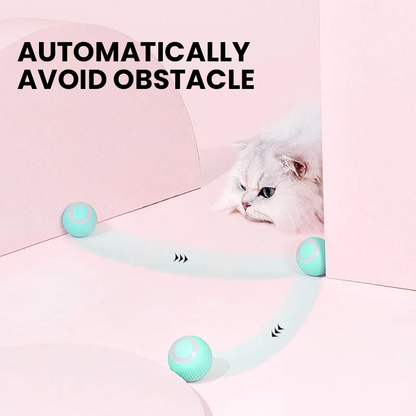 Interactive Dual Action Cat Hunting Toy