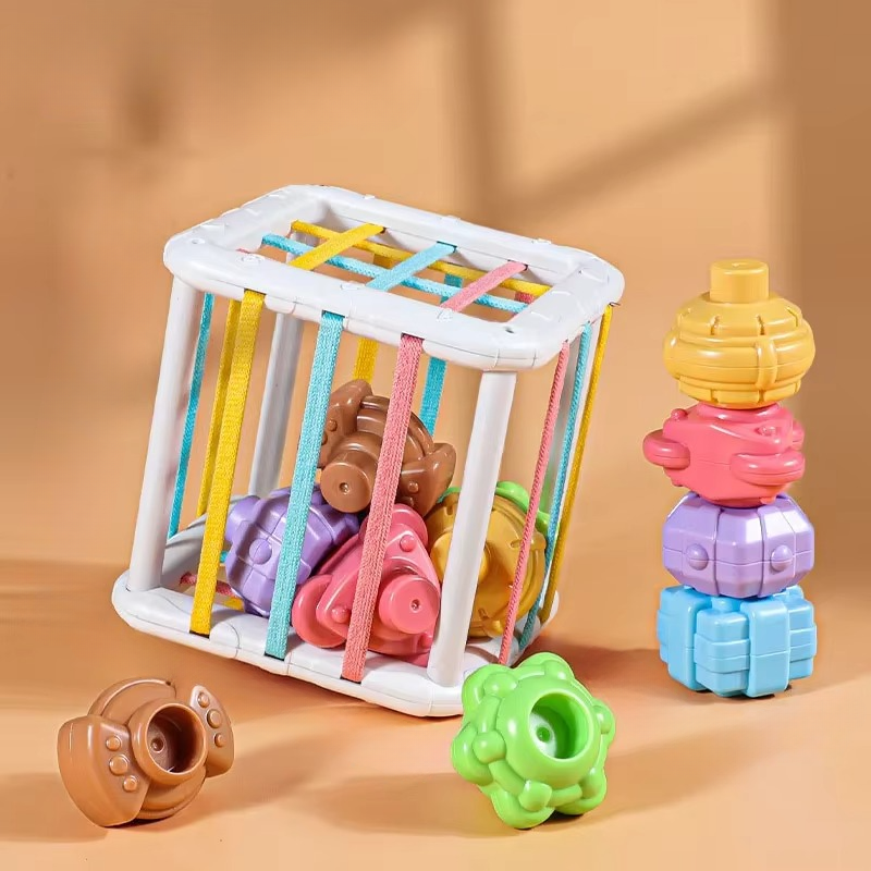 Educational Wooden Shape Sorter Toy Block