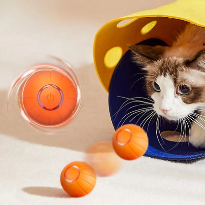 Fun Interactive LED Cat Toy Ball