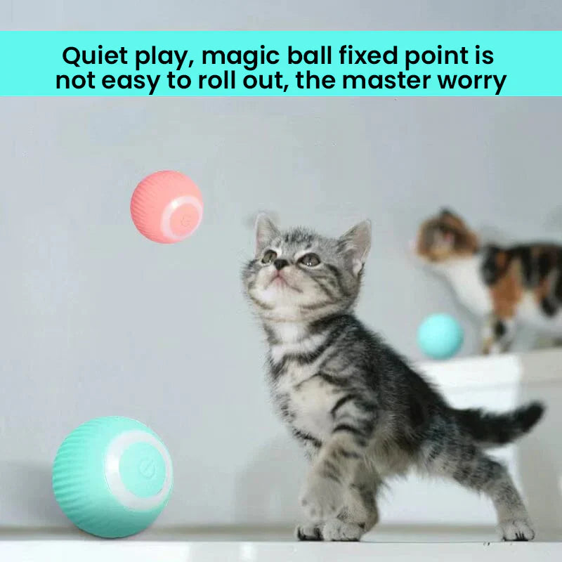 Interactive Dual Action Cat Hunting Toy