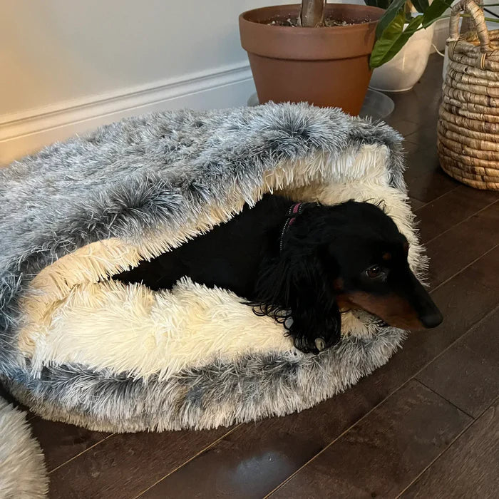 Soft Pet Hideaway Bed for Dogs and Cats